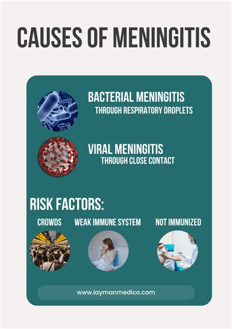 Understanding Meningitis Causes Symptoms And Treatment Explained In