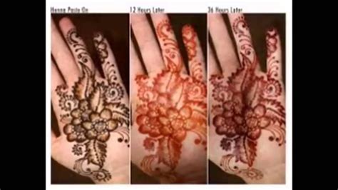 7816 cortez rd bradenton florida. Pin by Arch Haven on Arch Havens Video | Henna tattoo ...