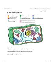 plantl-coloring-answer-key-the-biology-corner-page-pdf ...