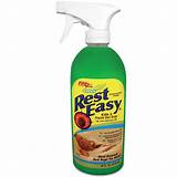 Bed Bug Spray In Stores Pictures