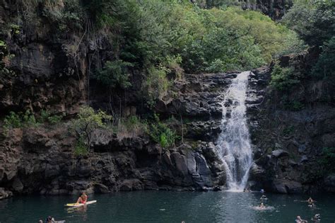 Waimea Valley Botanical Gardens Waterfall Swim Full Day 25