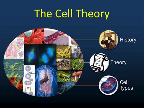 Cells are made up of different parts. The Cell Theory .ppt