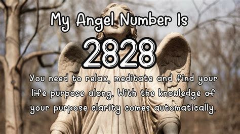 Discover What Angel Number 224 Means For Your Future