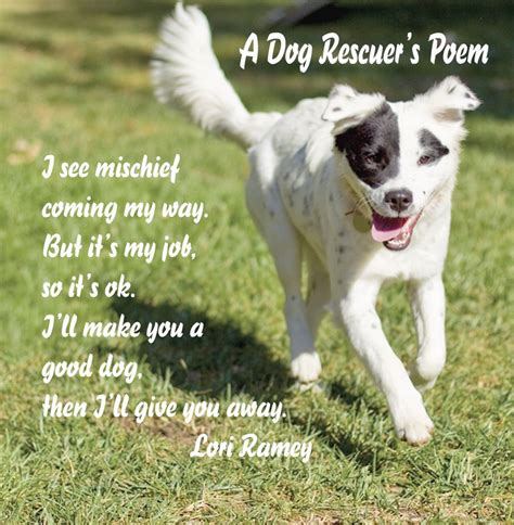 Rameys Photography Home Rescue Dog Quotes Dog Poems Dog Rescuers