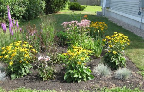 It's better for the environment, your garden, and your wallet. Rain Gardens - Design and Installation | UNH Extension