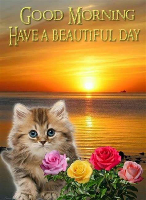 Good morning images quotes pinterest. 10 Very Cute Good Morning Quotes