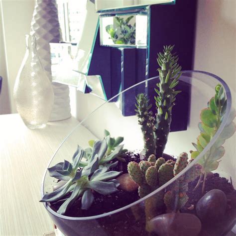 It might be the plant that you have just brought in. Tips and Tricks for Using Plants in Modern Interior Design ...