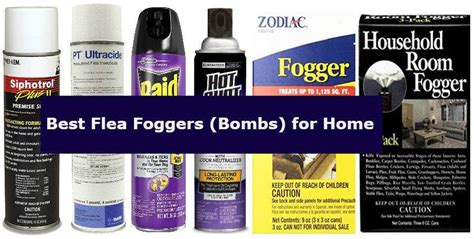 Flea Bomb Reviews 6 Best Flea Fogger Bombs To Kill Fleas In Your