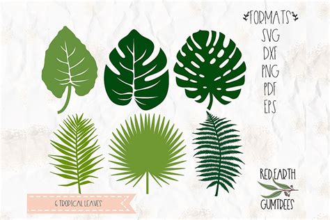Tropical plants, Summer plants in SVG, EPS, PDF, DXF, PNG