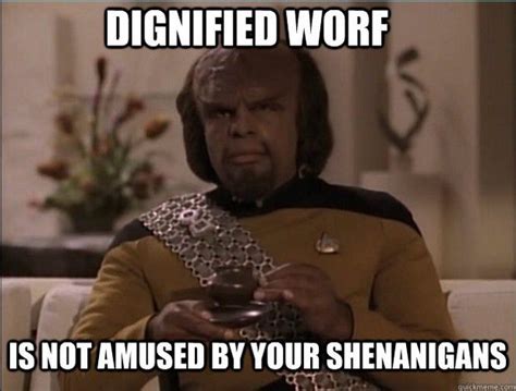 Dignified Worf Star Trek Funny Fandom Star Trek Star Trek