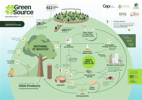 Greensource Infographic Showing The Whole Of The Forest Based Economy