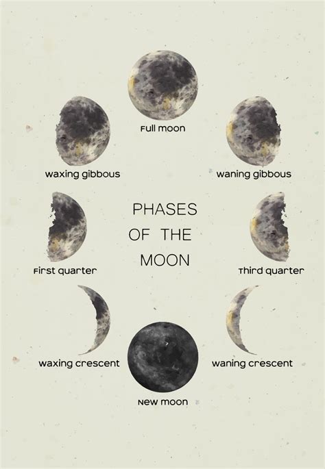 Watercolor moon in all its phases with letterings. New Moon, First