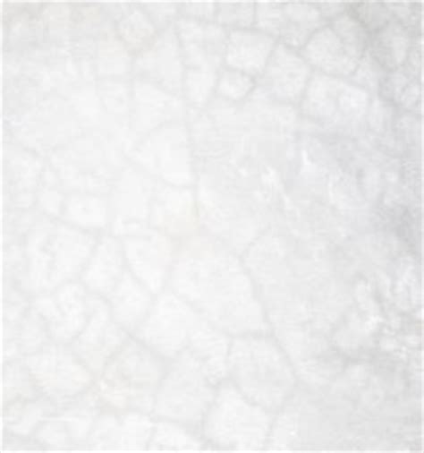 Crazing cracks are cracks on the surface in a hexagonal pattern. Swimming Pool Plaster Repair