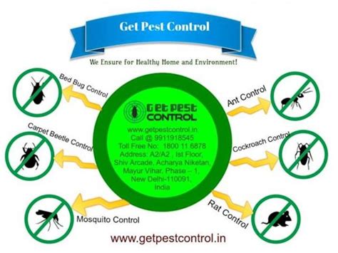 How much do exterminators typically charge? Pest Control Services | A Listly List