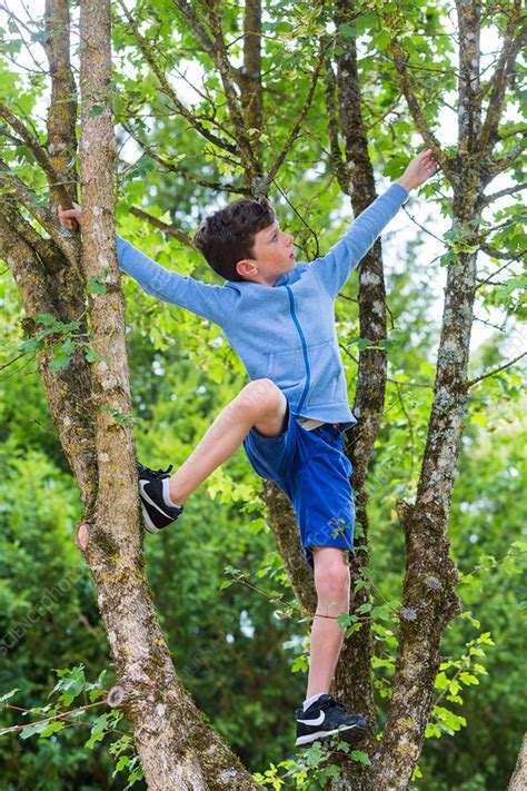 10 Year Old Boy Stock Image C0353991 Science Photo Library