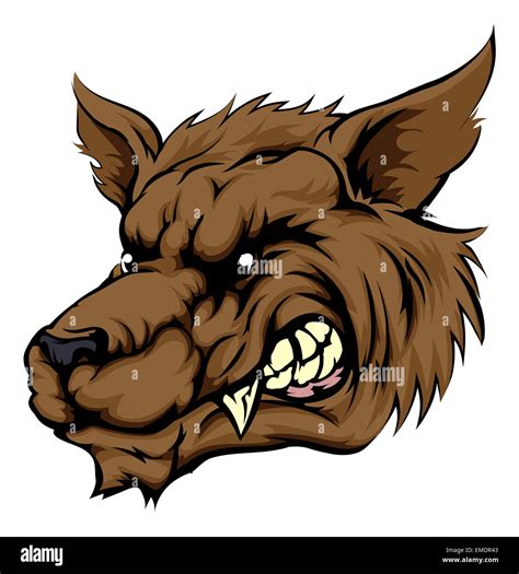 Wolf Vector Cartoon Snarling Face Cut Out Stock Images And Pictures Alamy