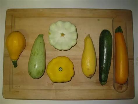 The difference in flavor and nutrients must inevitably. What is the difference between green and yellow zucchini ...