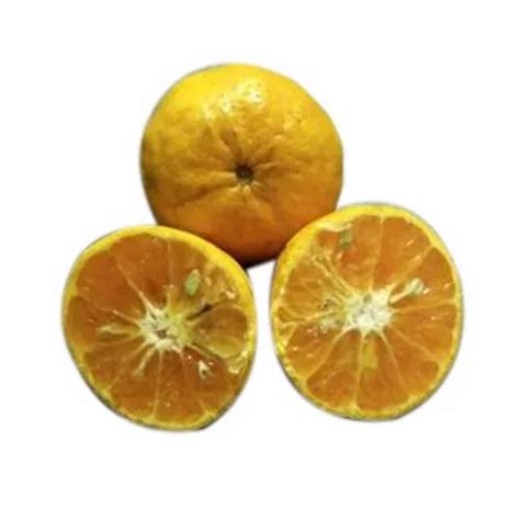 Fresh Orange Fruit At Rs 25kilogram Fresh Oranges In Itanagar Id