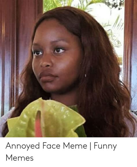 When it is used as a picture of someone looking silly with a sentence at the top and a punchline at the bottom. Annoyed Face Meme | Funny Memes | Funny Meme on ME.ME