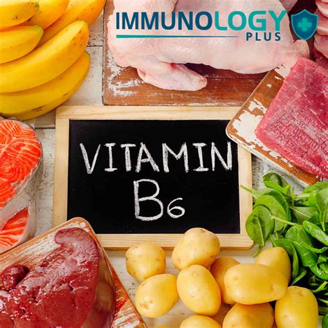 Vitamina B6 Propiedades Y Beneficios Immunologyplus
