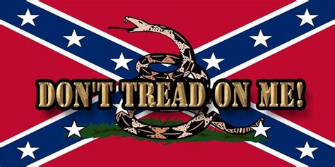 One half of flag painted traditional colors, other half painted with the gadsden flag. Pin on Confederate World