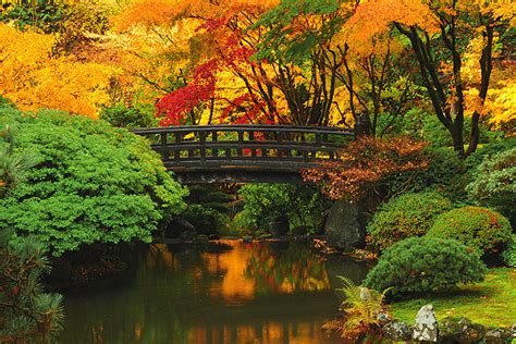 Missing The Portland Japanese Garden This Fall Winter Show Us Photos