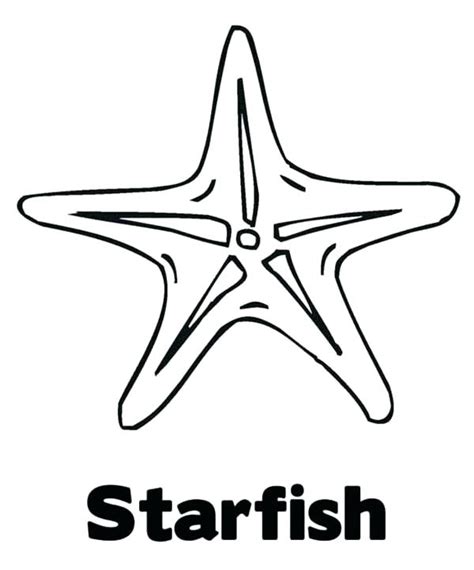 4 use the colored starfish pictures for flash cards,. Sea Star Coloring Page at GetColorings.com | Free ...