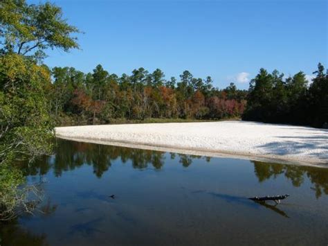 Check spelling or type a new query. Camping at Blackwater River State Park, FL