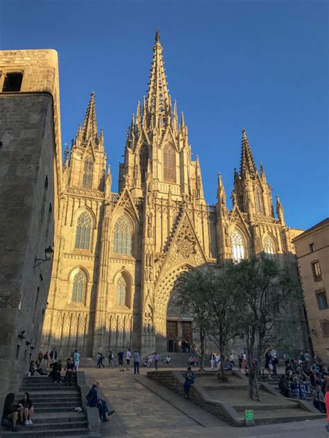 The barcelona cathedral (la seu) is known to be one of the most beautiful gothic buildings and seat of the archbishops of barcelona. cathedral-barcelona | MOODWELL
