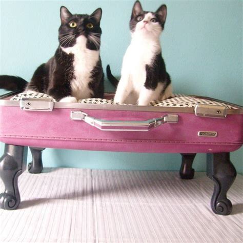 40 Creative Ways Of Using Old Suitcases