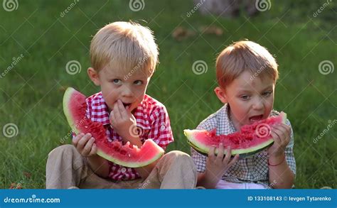 Two Little Kids Are Eating Watermelon In Summer Park Sitting On Green