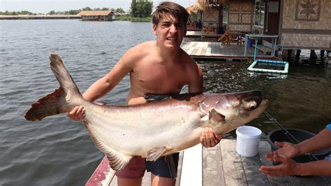 Catching Massive Mekong Catfish In Bangkok Thailand Youtube