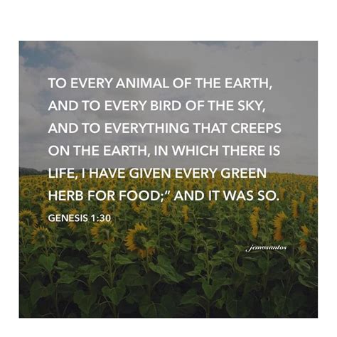 Genesis 130 To Every Animal Of The Earth And To Every Bird Of The Sky