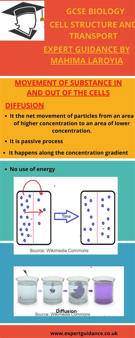 Online interactive gcse courses using quizzes, video & more. AQA GCSE Biology Paper - 1 B1 Cell Structure and Transport ...