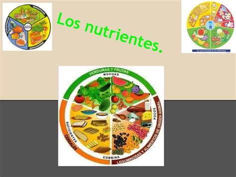 Calaméo Almir Presentación Sobre Los Nutrientes