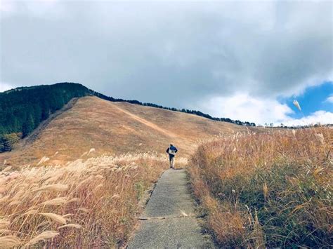 【奈良】ススキの観光名所「曽爾高原」の魅力とおすすめのハイキングコースをご紹介 たびこふれ