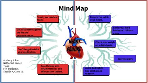 Mind Map Heart