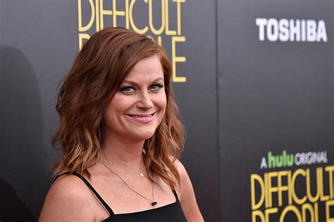 amy poehler bashed for disturbing r kelly and blue ivy joke on difficult people
