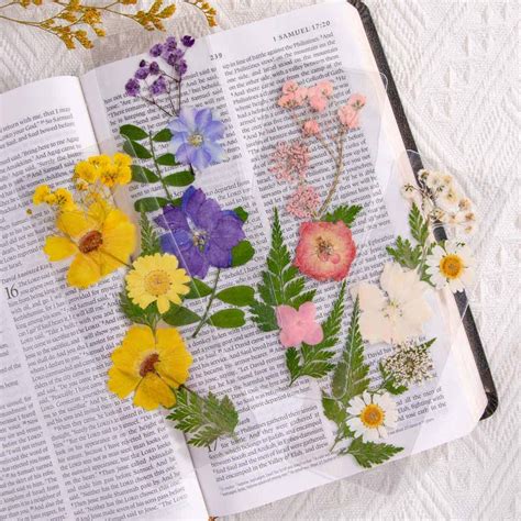 Colorful Flower Bookmarks Pressed Floral Bookmark With Real Dried