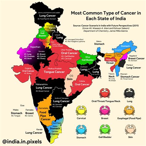India In Pixels Most Common Type Of Cancers In Each State Lung