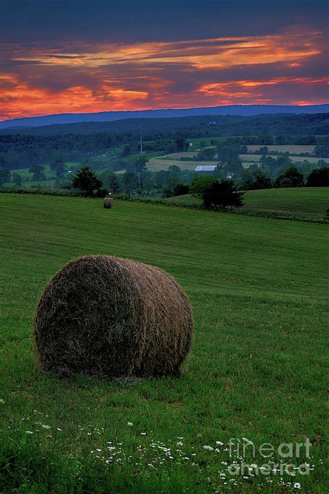 Hay Field Sunset Photograph By Nicki Mcmanus Fine Art America
