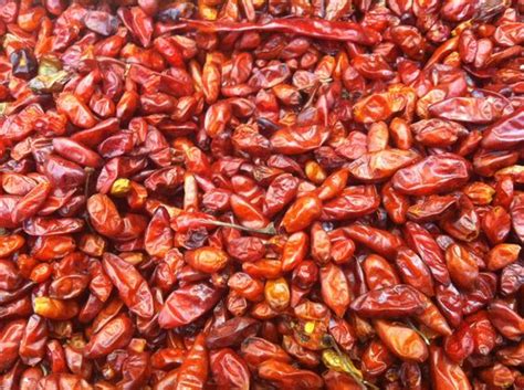 De arbol chiles are available fresh, dried and in powdered form. Chile de arbol / japones | Patterns and wallpapers ...