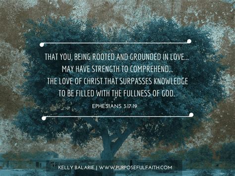 How To Deeply Root Yourself Into Christ Kelly Balarie Christian Blog