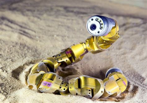 7 Bio Inspired Robots That Mimic Nature Machine Design