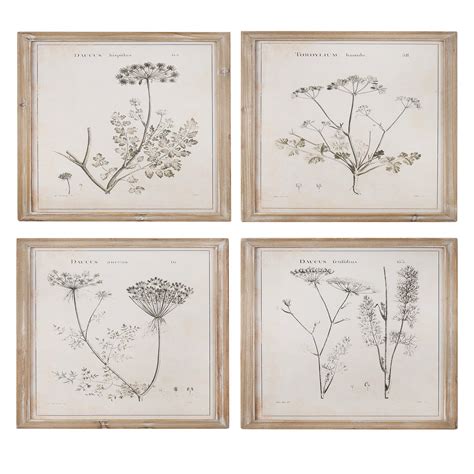 3R Studio Wall Art Wood Framed Vintage Reproduction Botanical Print