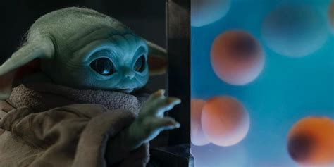 Daisy Ridley Is Completely Fine With Baby Yoda Snacking On Frog Ladys Eggs
