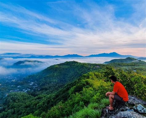 Bukit Batu Idung Panorama Indah Persawahan Dari Atas Bukit