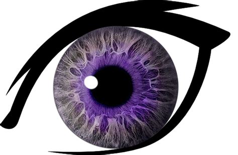 Purple Eye Clipart Cliparts