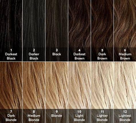 The light ash blonde, light golden brown, and medium reddish blonde are. Dear Color Crew: What Level Is My Hair? | Blonde hair ...