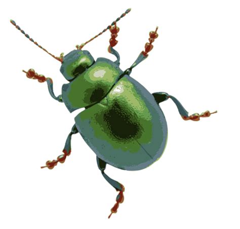 It's as easy as that.great for removing background in portrait or product photos. Free Mean Bug Cliparts, Download Free Clip Art, Free Clip ...